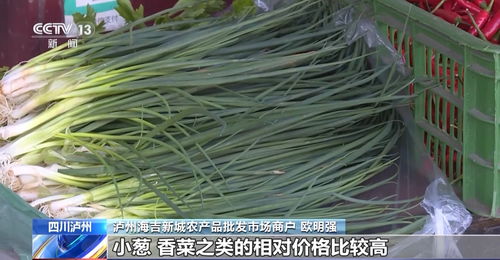 高溫炙烤下的民生守護(hù) 四川多地延期開學(xué)，全力保障農(nóng)產(chǎn)品供應(yīng)