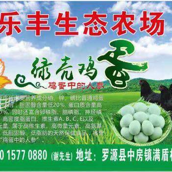 深耕源頭，鏈接餐桌 走進(jìn)農(nóng)產(chǎn)品批發(fā)供應(yīng)商謝依燦的惠農(nóng)網(wǎng)之路