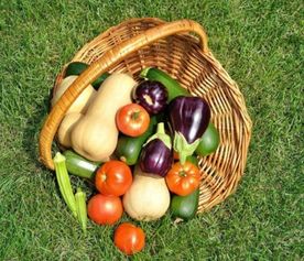 食品安全大于天，源頭把關(guān)是關(guān)鍵——陜西省市場(chǎng)監(jiān)管局召開(kāi)食用農(nóng)產(chǎn)品批發(fā)環(huán)節(jié)質(zhì)量安全座談會(huì)